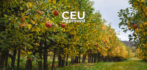 Growing Tree Fruit Under Water Pressure:  Tools for Drought-Resilient Orchards